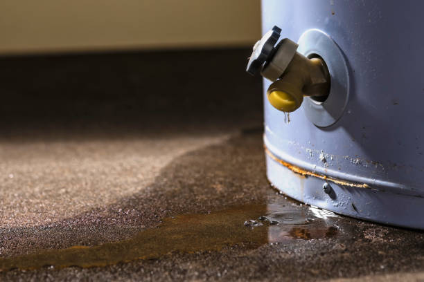 Best Flood damage cleanup  in Ottawa, OH