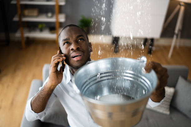 Best Water damage mitigation services  in Ottawa, OH