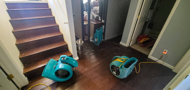 Best Emergency water damage restoration  in Ottawa, OH