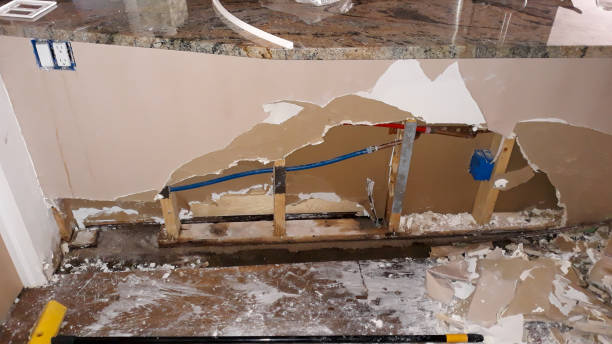 Best Flooded house restoration  in Ottawa, OH