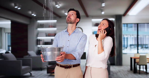 Best Mold removal after water damage  in Ottawa, OH