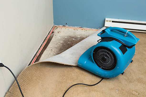  Ottawa, OH Water damage restoration Pros